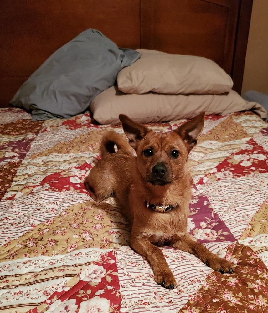 Meet your Posher, Shelli